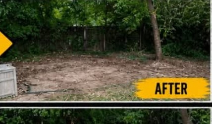 After — Chicken coop removal & property cleanup
