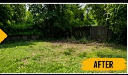 After — Shed removal — full teardown & haul-away