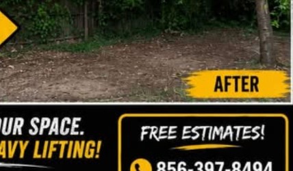 After — Yard debris clearing & full cleanout