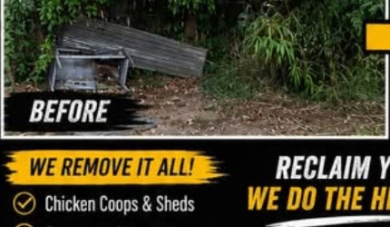 Before — Yard debris clearing & full cleanout
